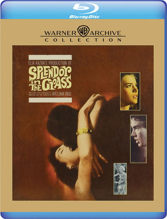 Cover for Splendor in the Grass (Blu-Ray) (2025)