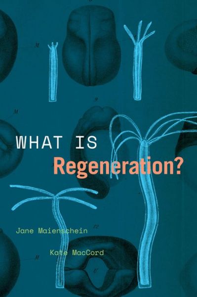 Cover for Jane Maienschein · What Is Regeneration? - Convening Science: Discovery at the Marine Biological Laboratory (Taschenbuch) (2022)