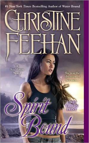 Cover for C Feehan · Spirit Bound (Paperback Book) (2011)