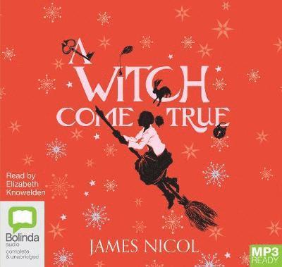 Cover for James Nicol · A Witch Come True - The Apprentice Witch (Hörbok (MP3)) [Unabridged edition] (2019)