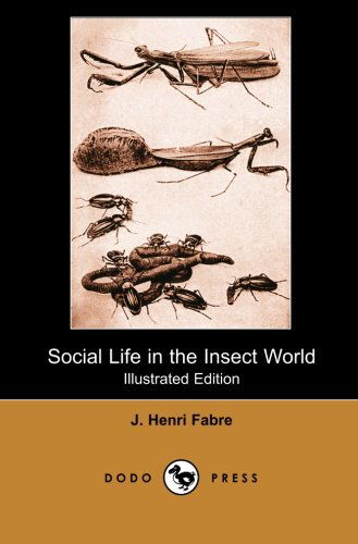 Cover for J. Henri Fabre · Social Life in the Insect World (Illustrated Edition) (Dodo Press): Modern Entomologic Book of the Early Twentieth Century by the Physicist and ... Many to Be the Father of Modern Entomology. (Paperback Book) (2007)