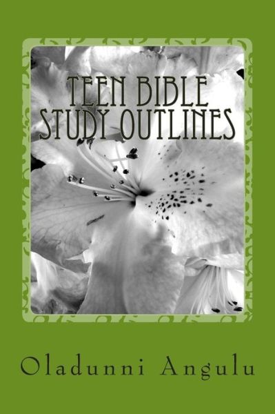 Cover for Oladunni Angulu · Teen Bible Study Outlines (Paperback Book) (2014)