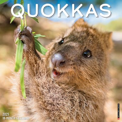 Willow Creek Press · Quokkas 2025 12 X 12 Wall Calendar (Kalender) (2024)