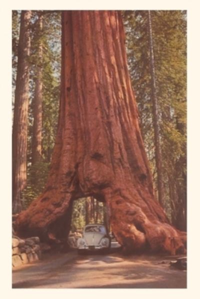 Cover for Found Image Press · Vintage Journal Redwood and Volkswagen (Book) (2022)