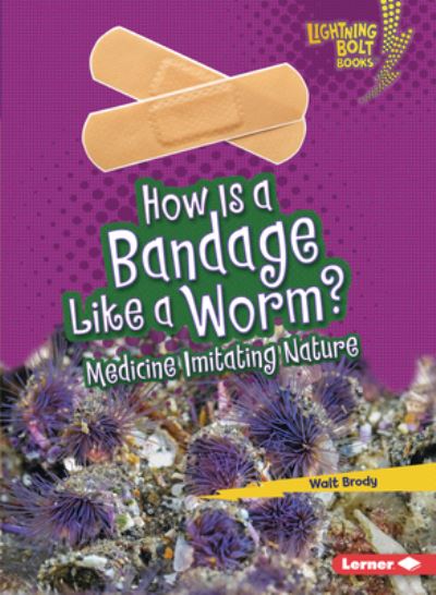 Cover for Walt Brody · How Is a Bandage Like a Worm?: Medicine Imitating Nature - Lightning Bolt Books — Imitating Nature (Paperback Book) (2021)