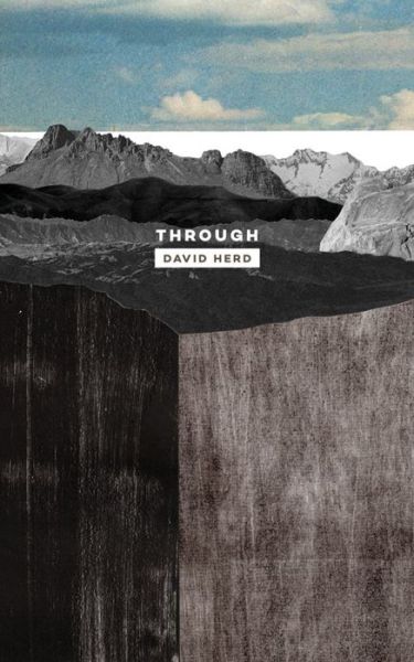 Through - David Herd - Books - Carcanet Press Ltd - 9781784102562 - July 1, 2016