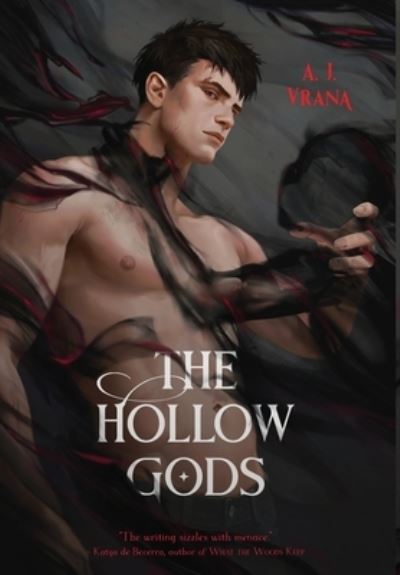 Cover for A J Vrana · The Hollow Gods (Hardcover Book) (2023)