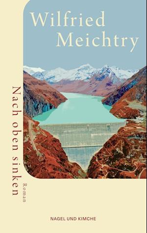 Nach oben sinken - Wilfried Meichtry - Books - Nagel & Kimche - 9783312013562 - November 19, 2024