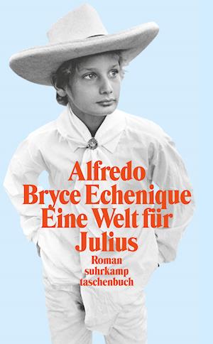 Cover for Alfredo Bryce Echenique · Eine Welt für Julius (Paperback Book) (2003)