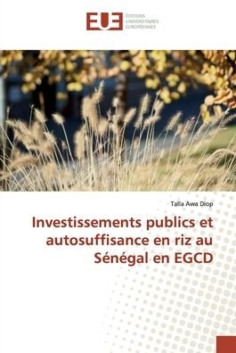Cover for Diop · Investissements publics et autosuf (Book) (2019)