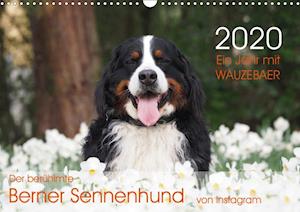 Cover for Brenner · Ein Jahr mit WAUZEBAER - Der be (Book)