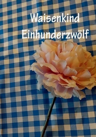 Cover for Christine Stutz · Waisenkind Einhundertzwoelf (Paperback Book) (2021)