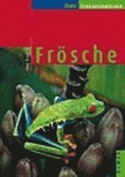 Cover for Uwe Dost · FrÃ¶sche (Hardcover Book) (2004)