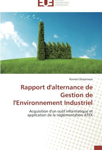 Cover for Romain Despinasse · Rapport D'alternance De Gestion De L'environnement Industriel (Paperback Book) [French edition] (2018)