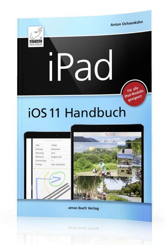Cover for Ochsenkühn · Ipad Ios 11 Handbuch (Bog)