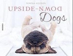 Cover for Hodson · Upside-Down Dogs (Book)