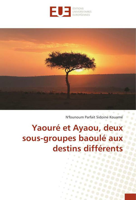 Cover for Kouamé · Yaouré et Ayaou, deux sous-group (Book)