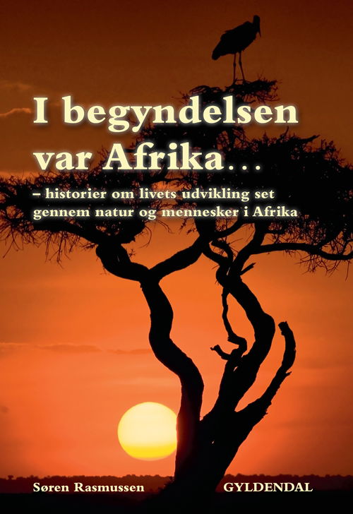 Cover for Søren Rasmussen · I begyndelsen var Afrika (Sewn Spine Book) [1. Painos] (2011)