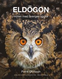 Cover for Patrik Olofsson · Eldögon ? möten med Sveriges ugglor (Bound Book) (2015)