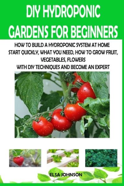 Cover for Elsa JOHNSON · Diy Hydroponic Gardens for Beginners (Book) (2020)