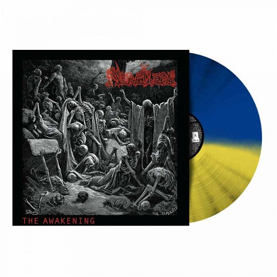 Cover for Merciless · Awakening (Yellow / Blue Vinyl LP) (LP) (2022)