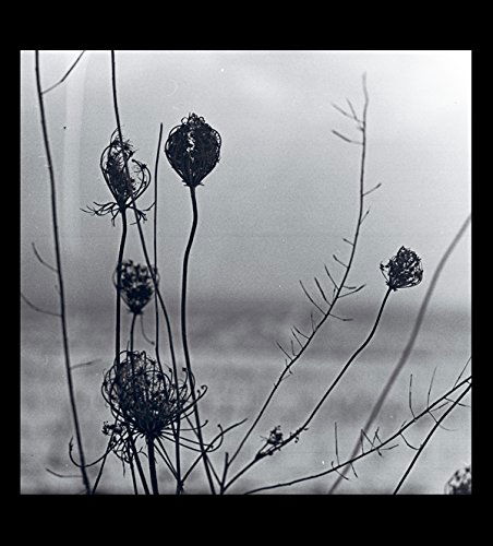 Cover for Recondite · Placid [2lp Vinyl] (LP) [Repress edition] (2021)