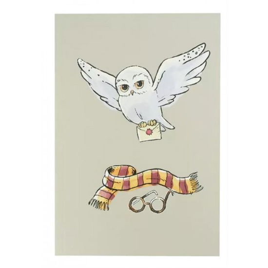Cover for Harry Potter: Cinereplicas · Hedwig (Notebook / Taccuino) (N/A)