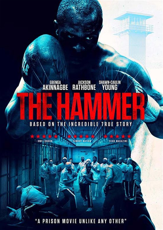 Cover for The Hammer (DVD) (2020)
