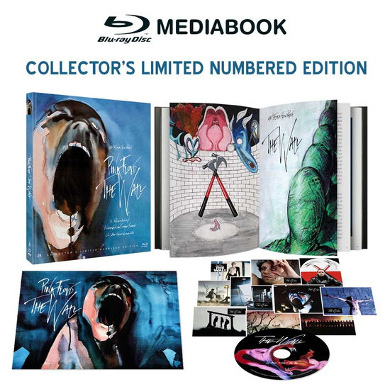 Cover for Pink Floyd / Geldof Bob / Hoskins Bob · Wall (The) (Mediabook Collector'S Limited Numbered Edition) (Blu-ray) [Mediabook Collector's Limited Numbered edition] (2024)