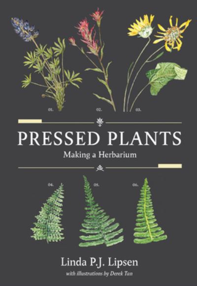 Cover for Linda P.J. Lipsen · Pressed Plants: Making a Herbarium (Paperback Book) (2023)