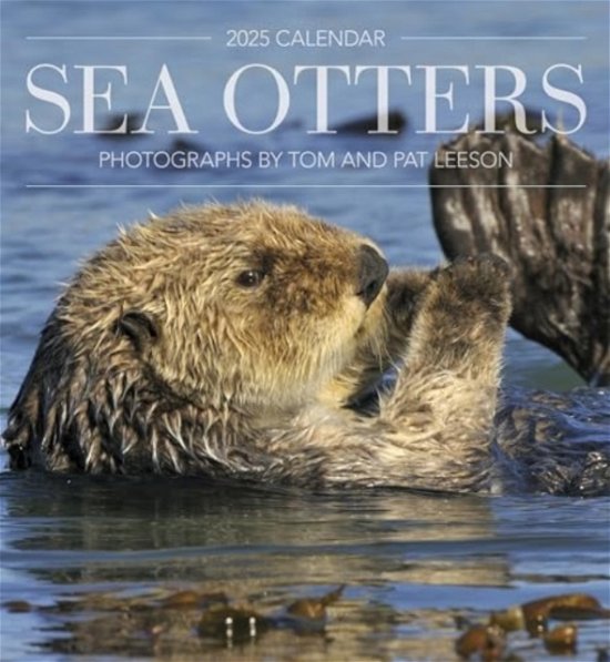 Cover for Tom Leeson · Sea Otters: Photographs by Tom and Pat Leeson 2025 Wall Calendar (Paperback Book) (2024)