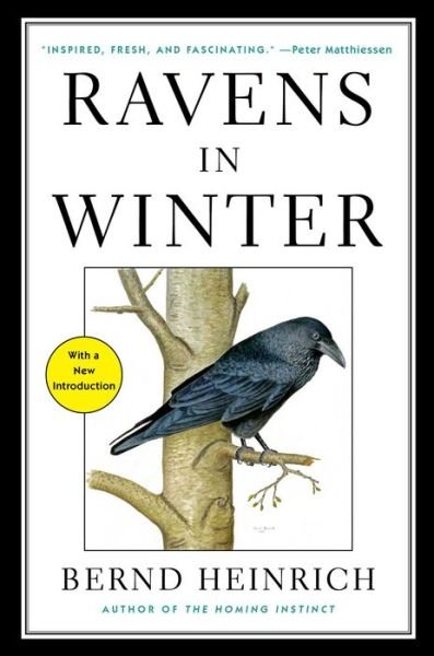 Cover for Bernd Heinrich · Ravens in Winter (Paperback Book) [Reissue edition] (2014)