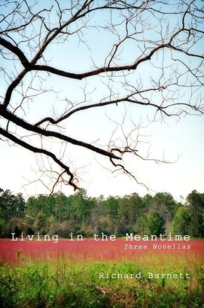 Cover for Richard Barnett · Living in the Meantime: Three Novellas (Paperback Book) (2014)