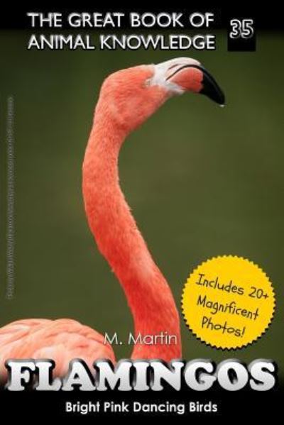 Cover for M Martin · Flamingos (Paperback Book) (2017)