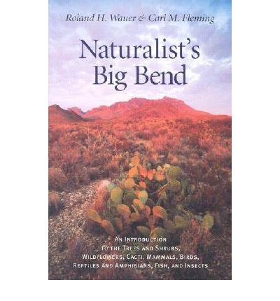 Cover for Roland H. Wauer · Naturalist's Big Bend: An Introduction to the Trees and Shrubs, Wildflowers, Cacti, Mammals, Birds, Reptiles and Amphibians, Fish and Insects - Louise Lindsey Merrick Natural Environment Series (Paperback Book) [Second edition] (2001)