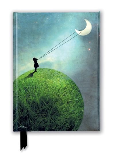 Cover for Catrin Welz · Catrin Welz-Stein: Chasing the Moon (Foiled Journal) - Flame Tree Notebooks (Stationery) [New edition] (2019)