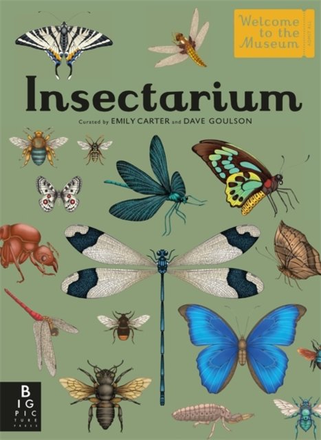 Insectarium - Welcome To The Museum - Dave Goulson - Books - Bonnier Books Ltd - 9781800782563 - September 26, 2024