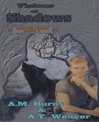 Cover for A M Burns · Visions of Shadows (Pocketbok) (2019)