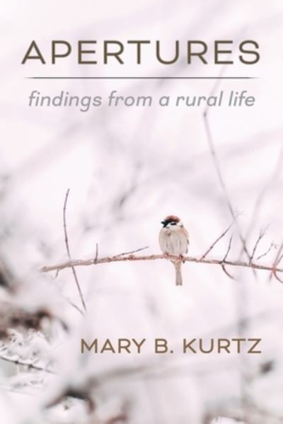 Cover for Mary Kurtz · Apertures (Book) (2022)