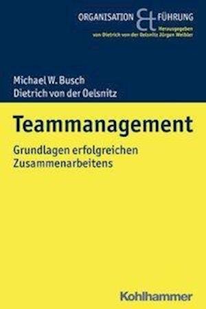 Cover for Busch · Teammanagement (Book) (2018)