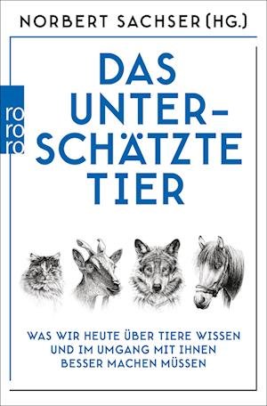 Cover for Norbert Sachser · Das unterschätzte Tier (Taschenbuch) (2022)