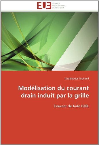 Cover for Abdelkader Touhami · Modélisation Du Courant Drain Induit Par La Grille: Courant De Fuite Gidl (Paperback Book) [French edition] (2018)