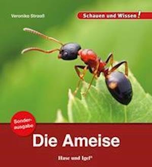 Cover for Veronika Straaß · Die Ameise / Sonderausgabe (Pamphlet) (2022)