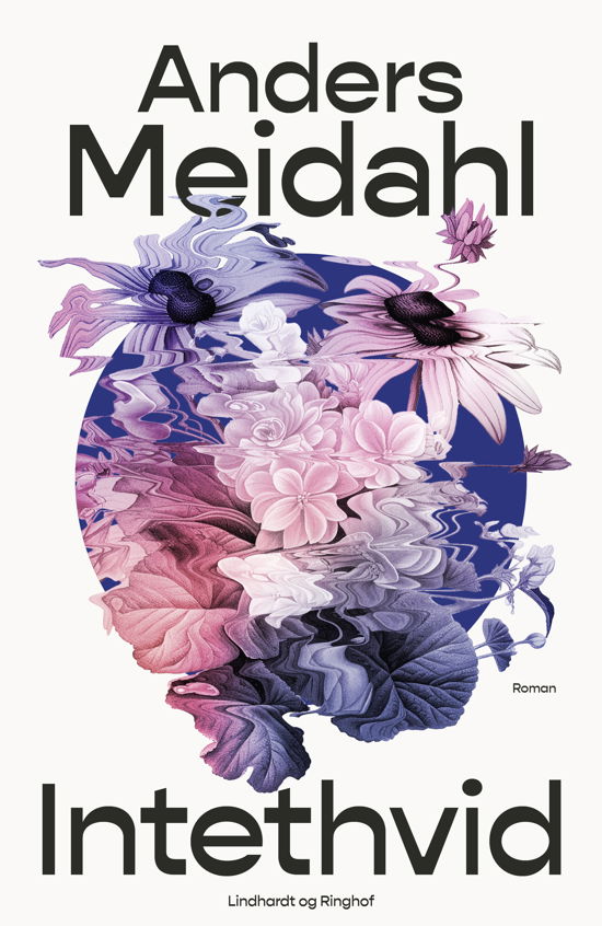 Cover for Anders Meidahl · Intethvid (Bok) [1. utgave] (2024)