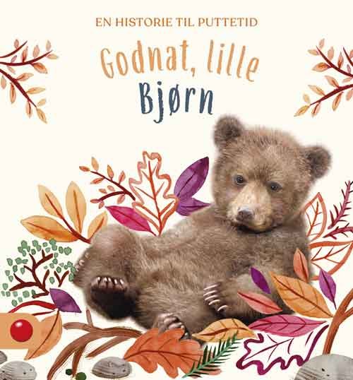 Godnat, lille Bjørn (Bound Book) [1st edition] (2024)