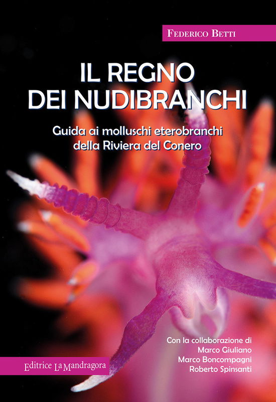 Cover for Federico Betti · Il Regno Dei Nubibranchi. Guida Ai Molluschi Opistobranchi Della Riviera Del Conero (Book)