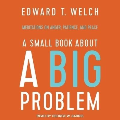 Cover for Edward T Welch · A Small Book about a Big Problem (CD) (2020)