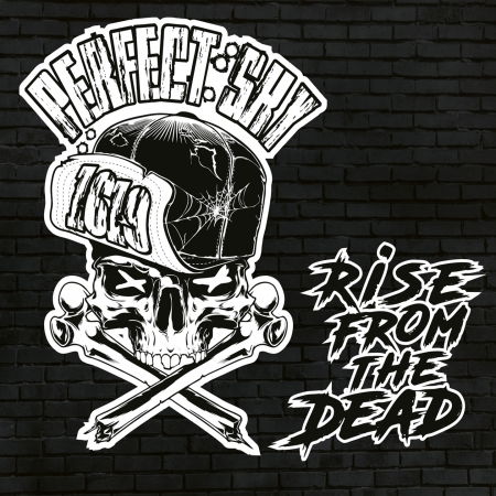 Cover for Perfect Sky · Rise From The Dead (CD) (2020)