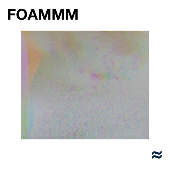 Foammm - Foammm - Musik - Sheep Chase Records - 7041880997564 - 31. maj 2019