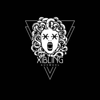 Cover for Xibling · Auswahl (LP) (2022)